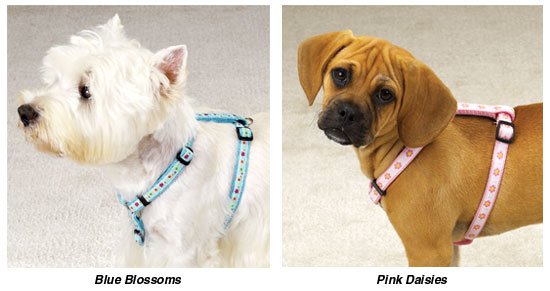 Fashion Harnesses Doggie Collar Harness Clothes (SM)