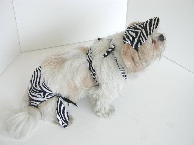 Zebra Dog Bikini XXXsm-Small