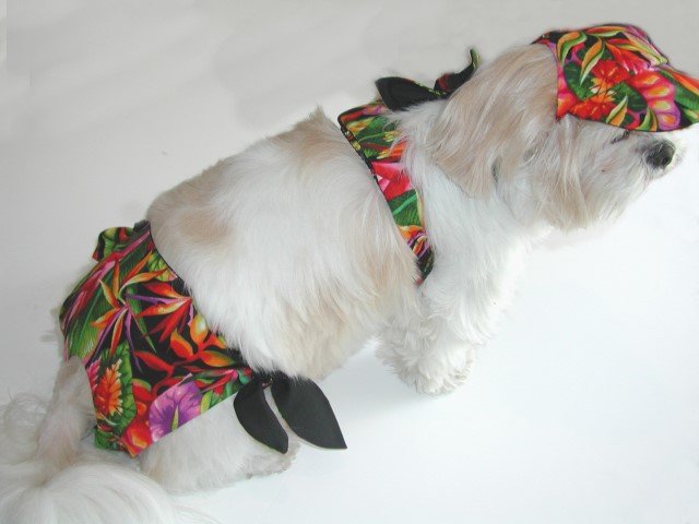 Tropical Dog Bikini XXXsm-Small