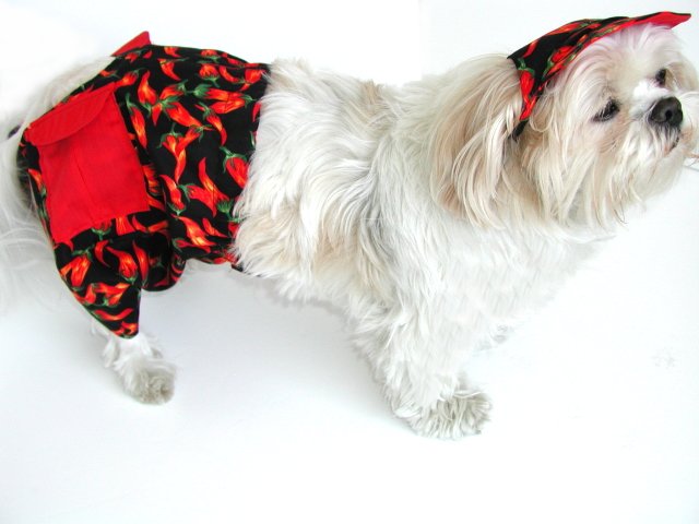 Boys Jammer Swim Trunks Suit Bathing Beach Dog Clothes XXXsm-Small