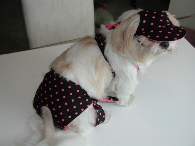 Polka Dot Beach Bikini Bathing Suit Swimming Dog Clothing Clothes XXXsm-Small