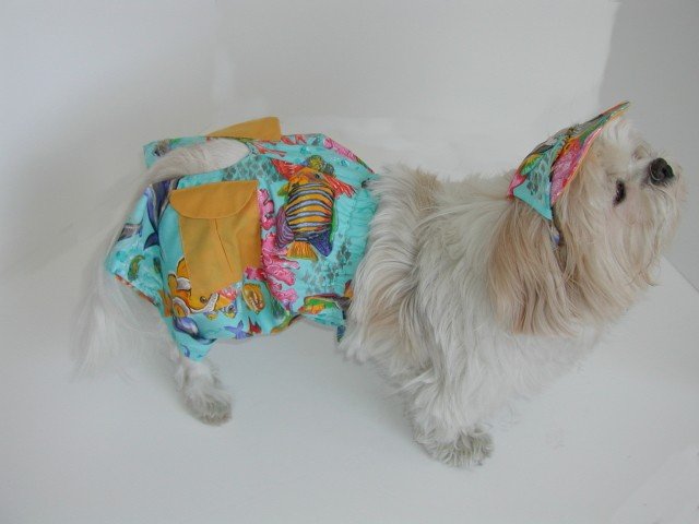 Salt Water Boys Cargo Shorts Jammer Swim Trunks Suit Dog Clothes XXXsm-Small