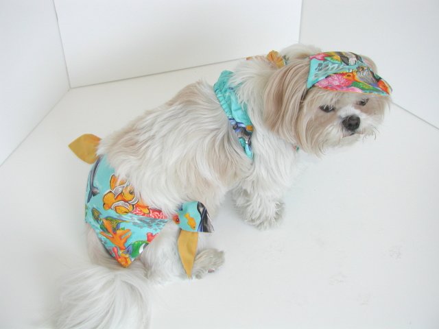 Salt Water Dog Bikini XXXsm-Small