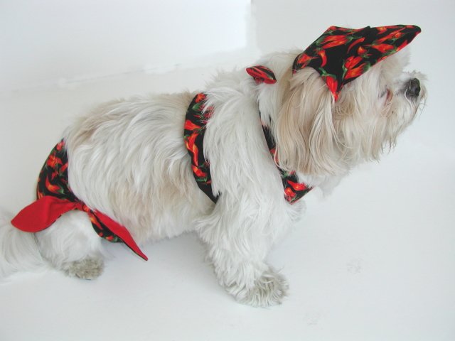 Chili Pepper Dog Bikini XXXsm-Small
