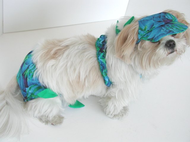 Blue Fish Dog Bikini XXXsm-Small