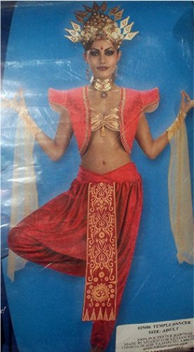 Temple Dancer Egyptian Adult Costume NEW Ladies