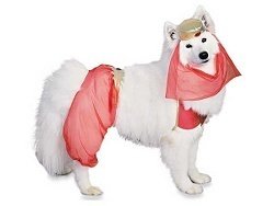 Dog Harem Girl Genie Costume SZ SM NEW Rubies