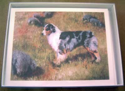 Australian Shepherd #2 Dog Notecards Envelopes Set - Maystead - NEW