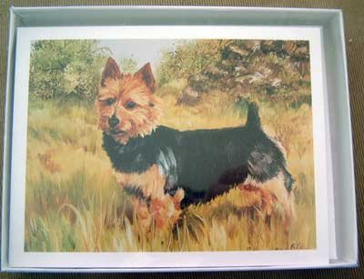 Australian Terrier #1 Dog Notecards Envelopes Set - Maystead - NEW