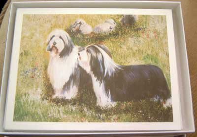 Bearded Collie #4 Dog Notecards Envelopes Set - Maystead - NEW