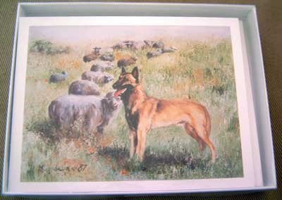 Belgian Malinois #1 Dog Notecards Envelopes Set - Maystead - NEW