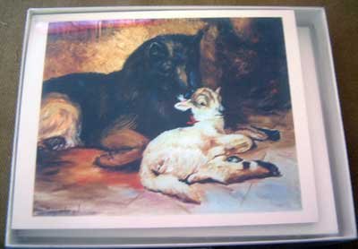 Belgian Tervuren #5 Dog Notecards Envelopes Set - Maystead - NEW