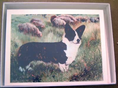 Welsh Corgi #9 Dog Notecards Envelopes Set - Maystead - NEW