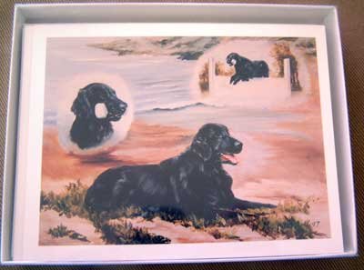 Flat Coated Retriever #1 Dog Notecards Envelopes Set - Maystead - NEW
