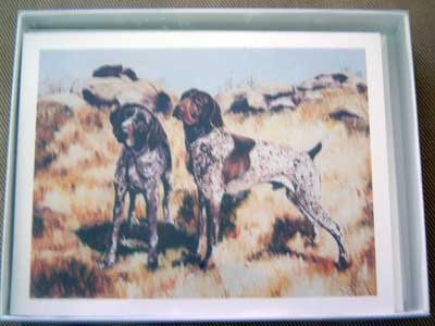 German Shorthair Pointer #3 Dog Notecards Envelopes Set - Maystead - NEW