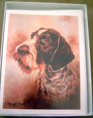 German Wirehair Pointer #1 Dog Notecards Envelopes Set - Maystead - NEW
