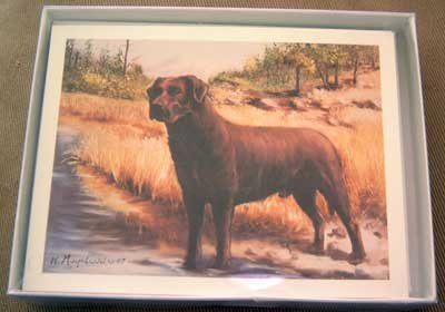 Labrador Retriever LAB #7 Dog Notecards Envelopes Set - Maystead - NEW