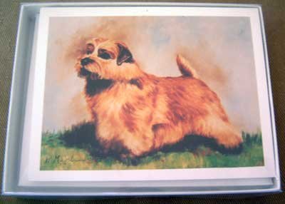 Norfolk Terrier #1 Dog Notecards Envelopes Set - Maystead - NEW