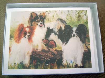 Papillion #5 Dog Notecards Envelopes Set - Maystead - NEW