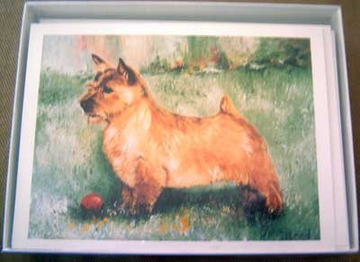 Norwich Terrier #1 Dog Notecards Envelopes Set - Maystead - NEW