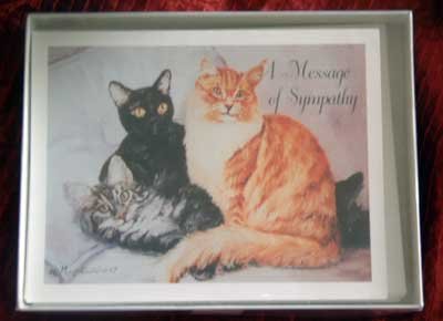 Cat Sympathy Notecards Envelopes Set - Maystead - NEW