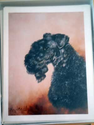 Kerry Blue Terrier #2 Dog Notecards Envelopes Set - Maystead - NEW