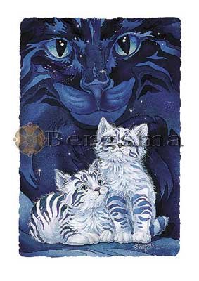 Jody BERGSMA Art Card Print : Wish Upon a Star