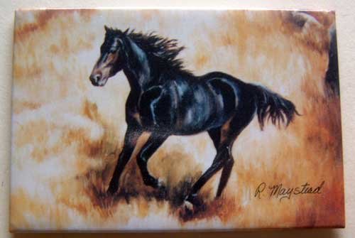 Horse Black Backed Quality Magnet - Maystead - NEW