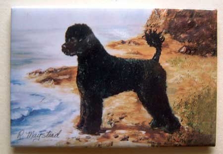 Dog Breed Full Backed Quality Magnet - Maystead - NEW PWD4