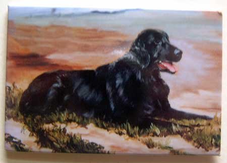 Dog Breed Full Backed Quality Magnet - Maystead - NEW RFC1
