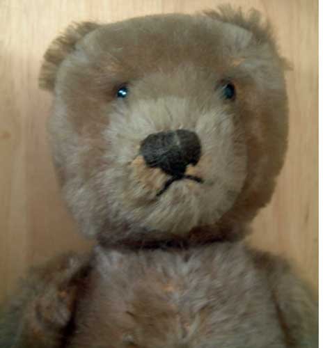 Steiff Teddy Bear Excellent Collector's Condition 1963