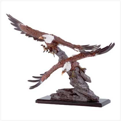 Eagles Soar Over Rocks