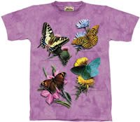 Butterfly Study T-Shirt by The Mountain 2XL 3XL