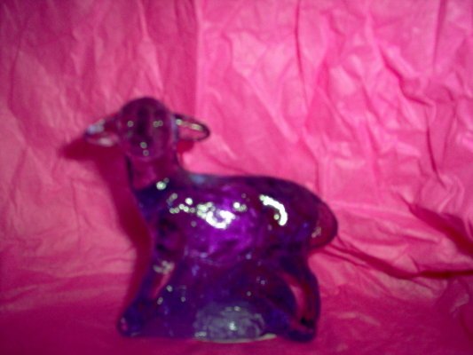 Purple Fenton Lamb