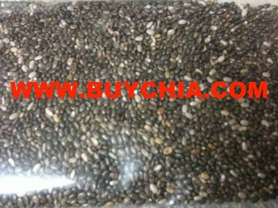 CHIA SEEDS BEST PRICE CHEMICAL FREE