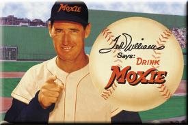Ted's Moxie / Ballfield - Magnet
