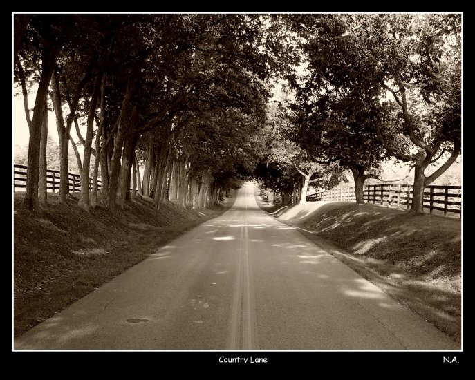 Country Lane