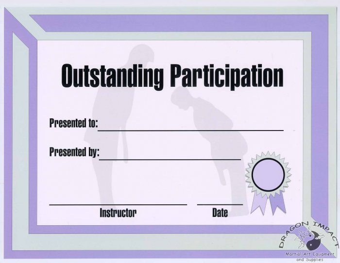Outstanding Participation Cerificate - #11385114
