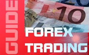 FOREX TRADING GUIDE - 140+ PAGES, EXAMPLES, GLOSSARY