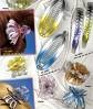 hair pins