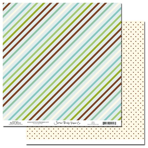 Charlotte Beacon Hill Diagonal Stripe