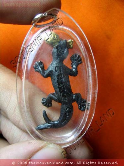 M498-OLD AMULET THAI BUDDHA TALISMAN GECKO SPIRIT LUCKY