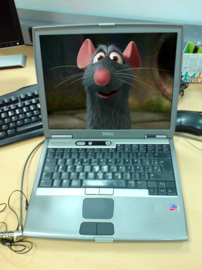 DELL LATITUDE D600 LAPTOP Wireless CD-RW/DVD Combo