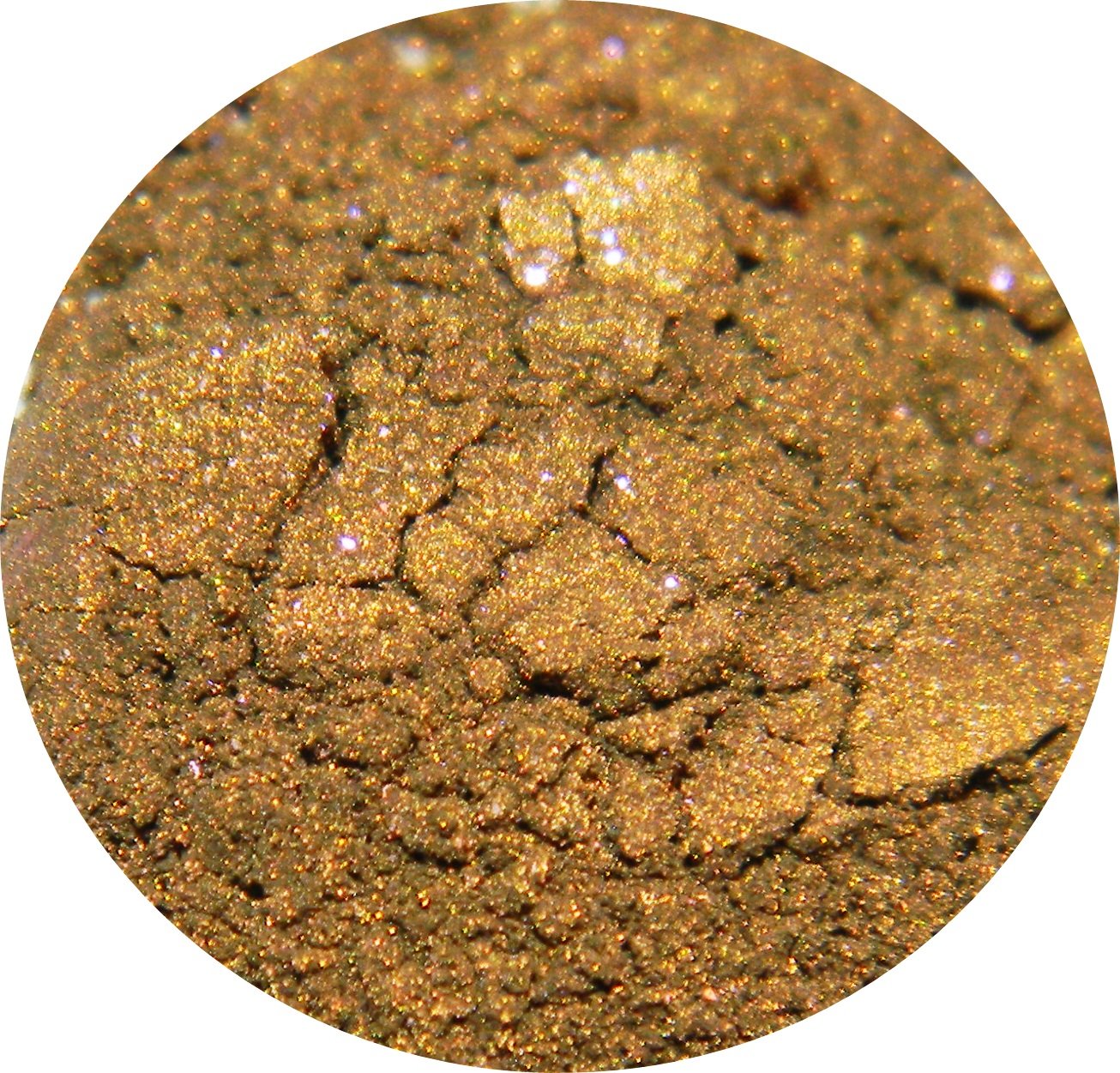 Gargoyle (full size) ♥ Darling Girl Cosmetics Eye Shadow