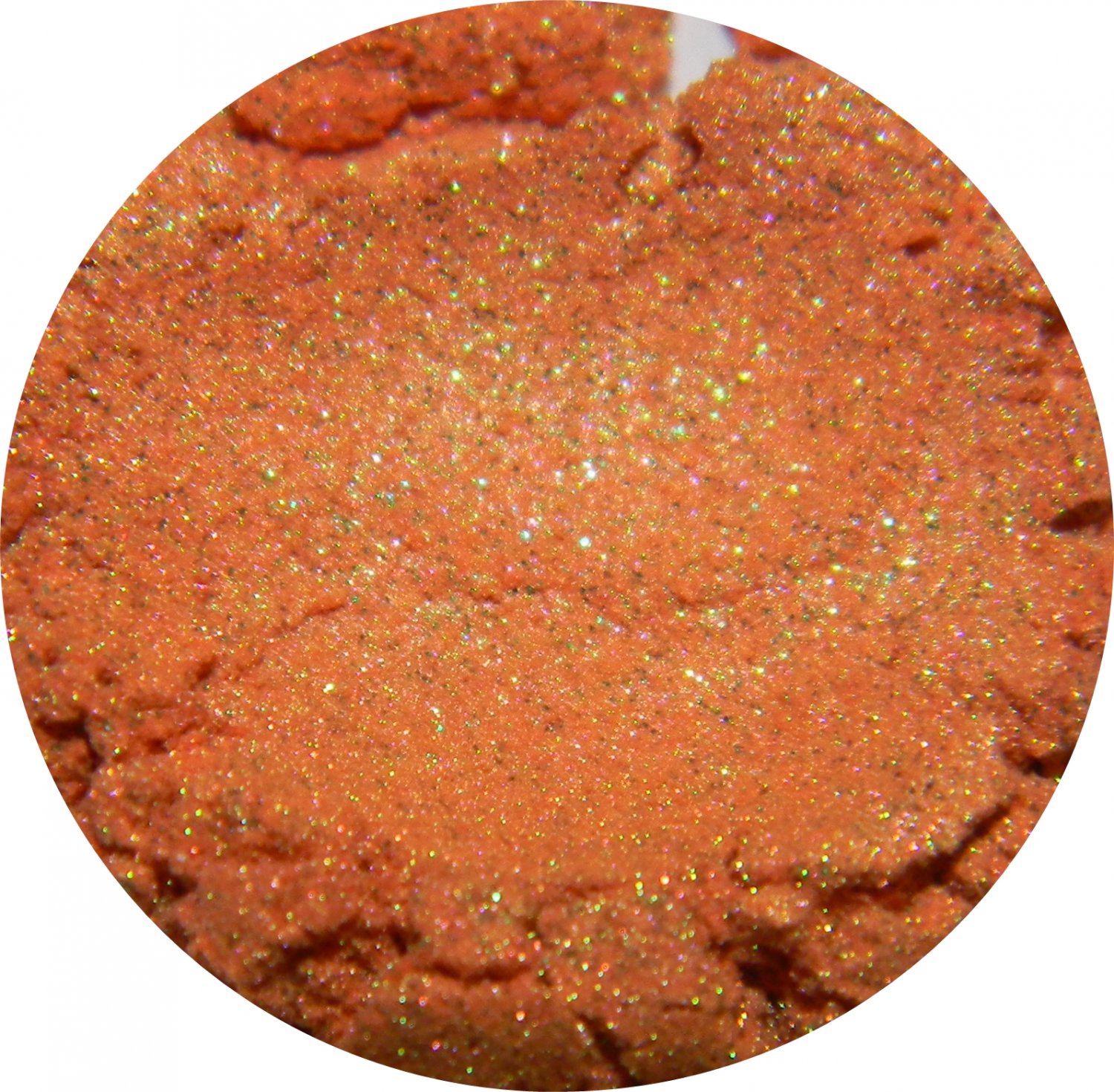 Pumpkin Eater (petit) ♥ Darling Girl Cosmetics Eye Shadow