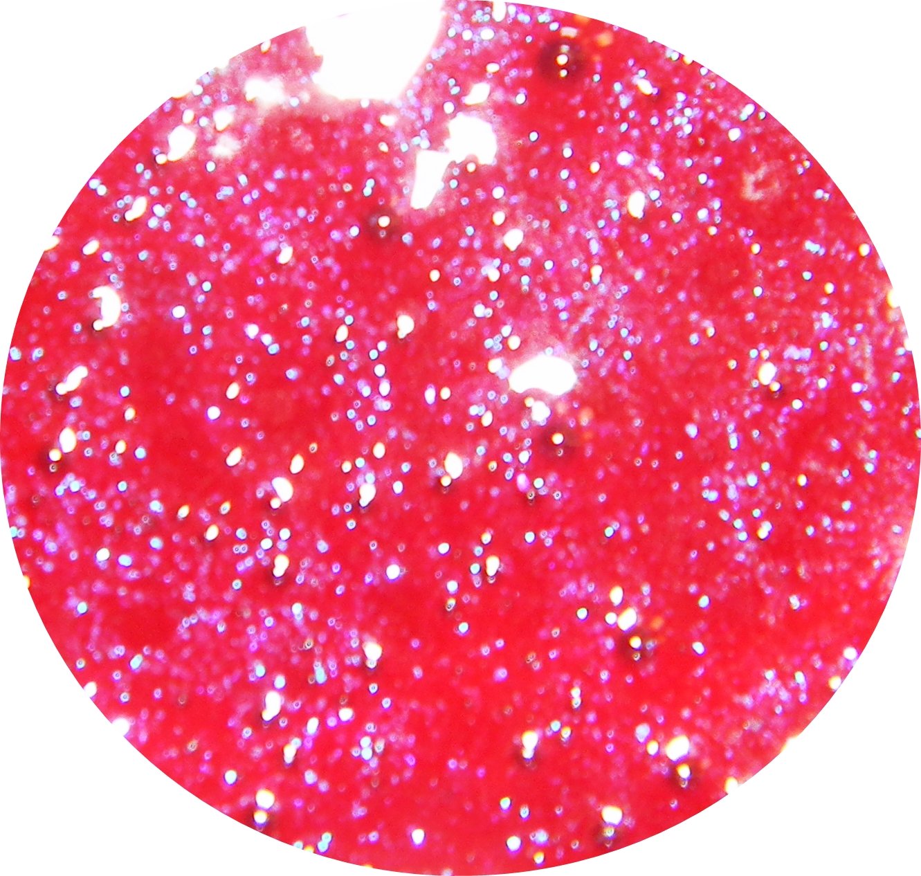 Bewitched - Holo-Gloss ♥ Darling Girl Cosmetics