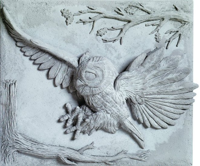 Owl Landing