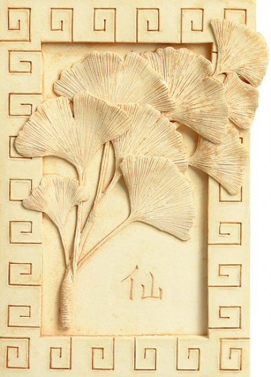 Ginkgo Immortality - Rectangle