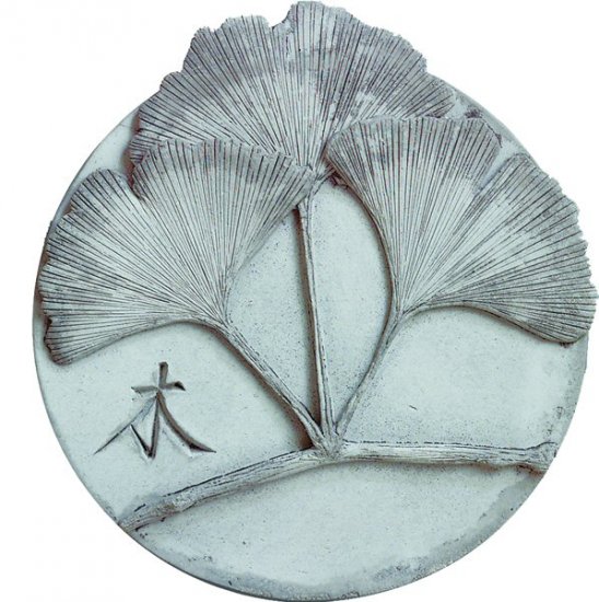 Ginkgo Wood