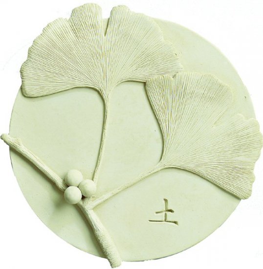 Ginkgo Earth